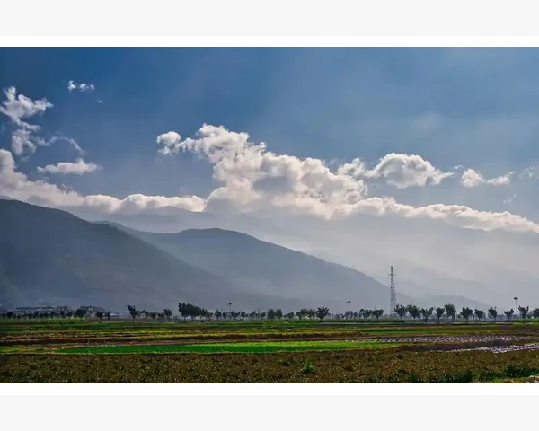 颈纹的形成与脾胃健康的关系是否真的存在？